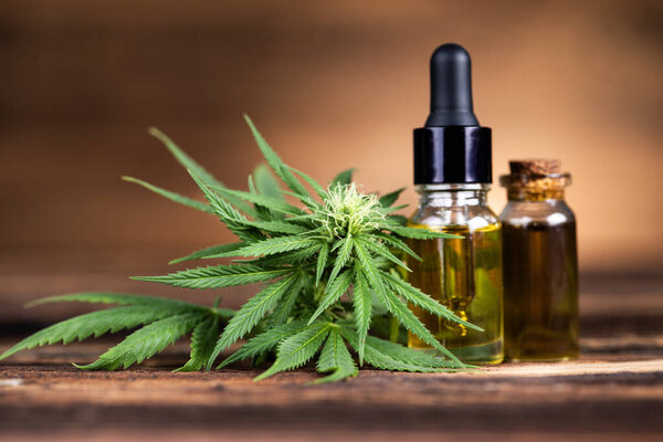 cannabis cbd oil in a bottle, hemp leaves with a pette on a wooden table