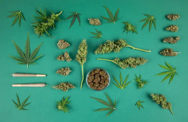 Vue Dessus Marijuana Des Bourgeons Cannabis Sur Vert Photo De Stock