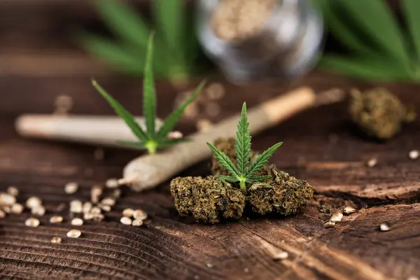 Marijuana Knoppar Och Cannabis Stockfoto