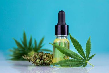 Kenevir cbd kenevir yağı şişesi ve mavi arka planda marihuana yaprağı.