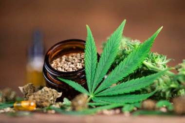kenevir yaprağı, cbd yağı