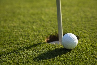 Çimlerin üzerinde golf topu