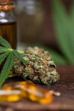 Masada yağlı kenevir yaprağı