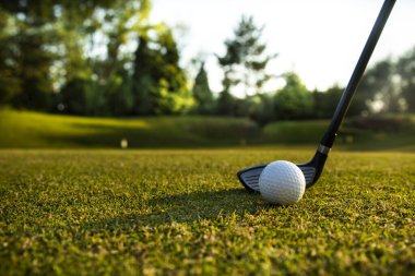 Yeşil çimlerin üzerinde golf çantalı bir golf topu..