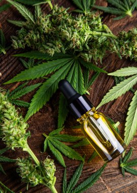 Cbd yağı, esrar, esrar, kenevir yağı.