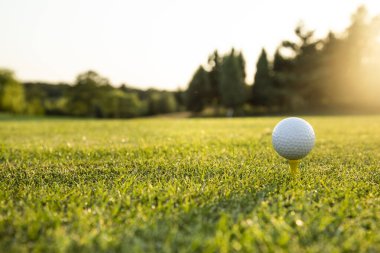 Golf topu golf sahası üzerinde yeşil çimenlerin üzerinde.