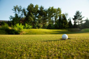 Yeşil sahada golf topları ve çimenler yakın plan. spor ve eğlence konsepti.