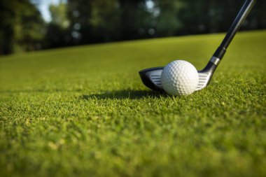Yeşil golf sahasında golf topu