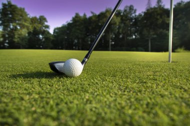 Yeşil çimenlerin üzerinde Golf club