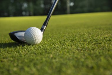 Golf sahasında yeşil çimenli golf sopası.