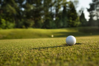 Golf sahasındaki çimlerin üzerinde golf topu.