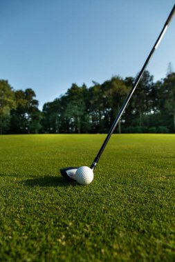 Yeşil çimlerin üzerinde golf topu