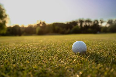 Golf sahasında golf sopası..