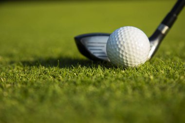 Golf kulübünde golf sahasında golf sahasının arkasında çimen olan golf topu. Mesaj için fotokopi alanı olan golf sopası. spor ve yaşam tarzı