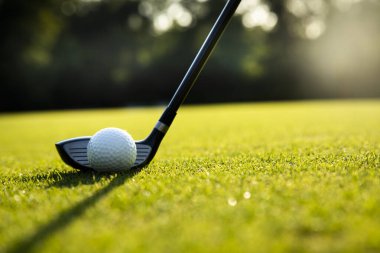 Yeşil sahada golf topunu yakın.