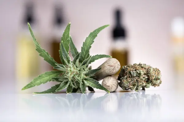 Marijuana Buds Cannabis Leaves Cbd Hemp Oil — Stock Photo, Image