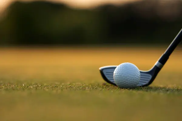 Golf Club Ball Golf Grass — Stock Photo, Image