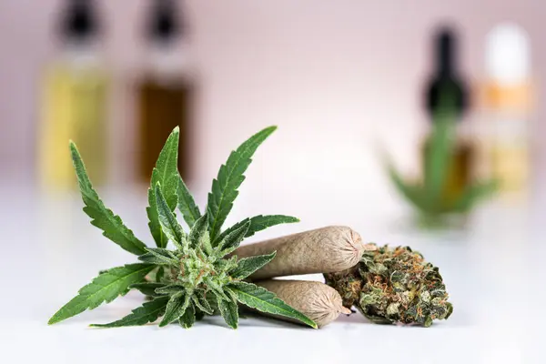 Óleo Cannabis Maconha — Fotografia de Stock