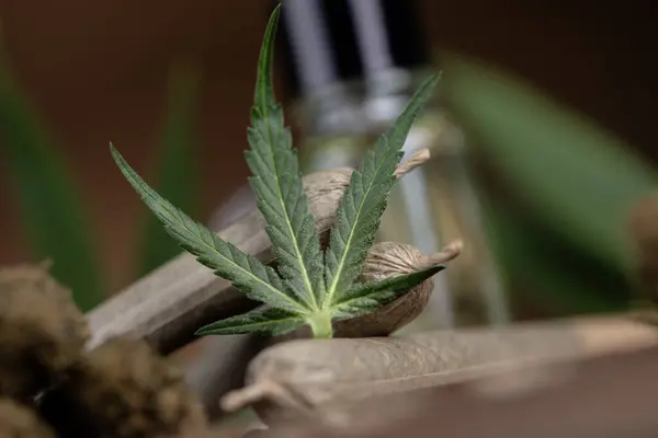 Cannabis Plant Oil — Stock Photo, Image