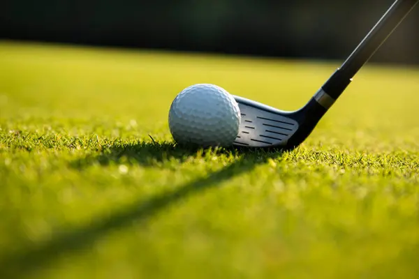 Close Golf Ball Stick Green Grass Background — Stock Photo, Image