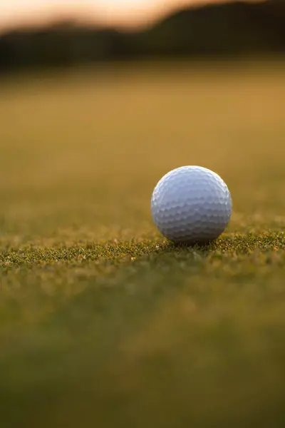 Golfplatz Auf Golfball Stockbild
