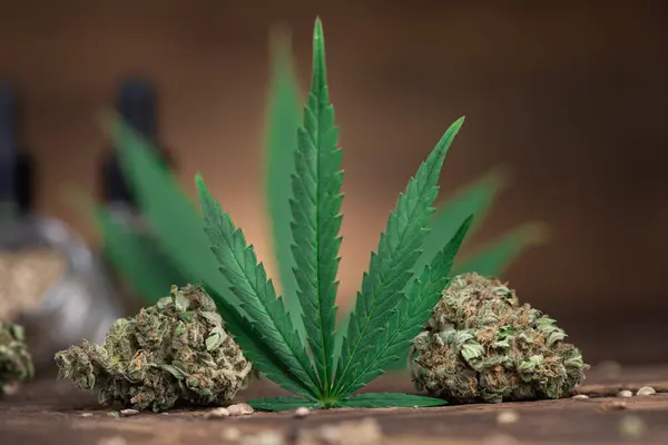 Hoja Cannabis Sobre Fondo Madera Imágenes De Stock Sin Royalties Gratis