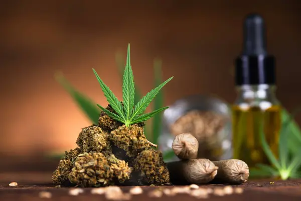 Marijuana Cannabis Oil Stockbild