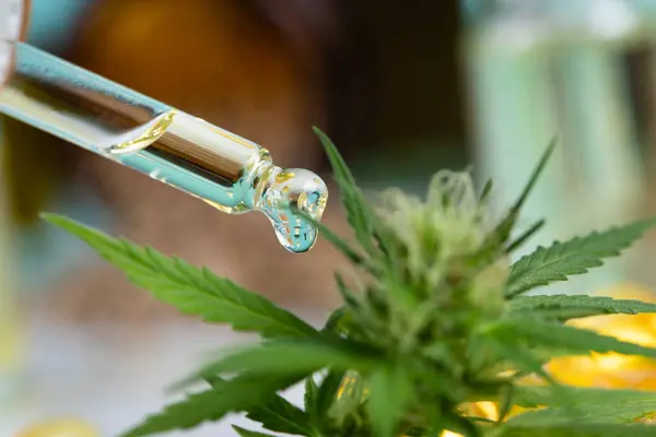 Cbd Hemp Oil Glass Bottle Cannabis Leaf Stock Photo