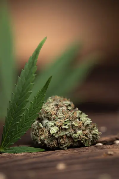 Närbild Marijuana Knoppar Träytan Stockbild