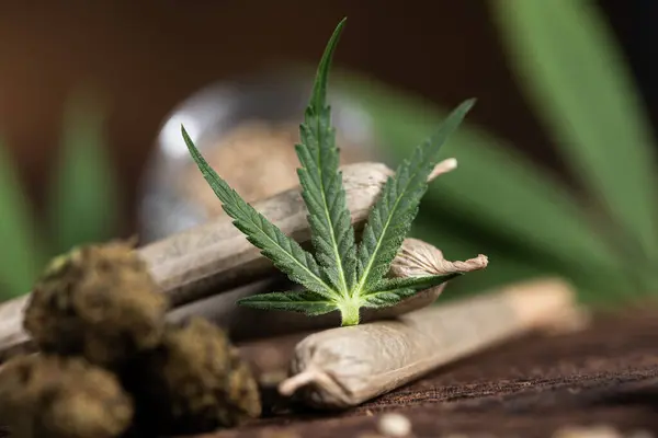 Marihuana Kenevir Yağı Cbd Kenevir Yaprakları Stok Fotoğraf
