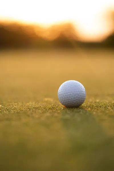 Golf Labda Golfpályán Jogdíjmentes Stock Fotók