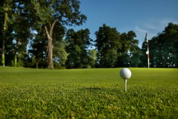 ゴルフコースのゴルフ選手 ストック画像
