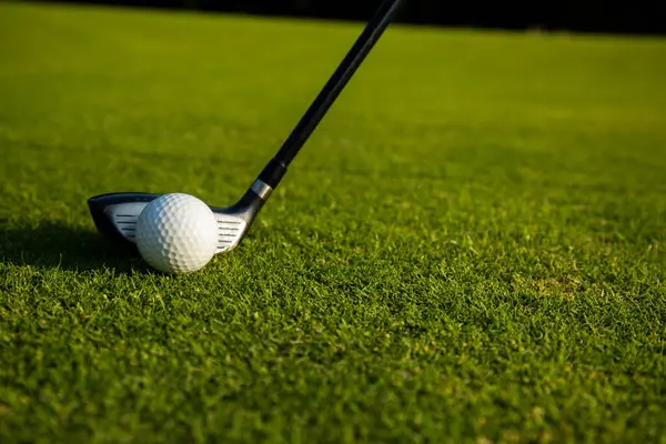 草の上のゴルフボール クローズアップ ロイヤリティフリーのストック画像