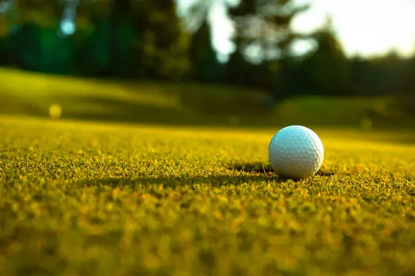 Golf Labdák Zöld Füvön Stock Kép