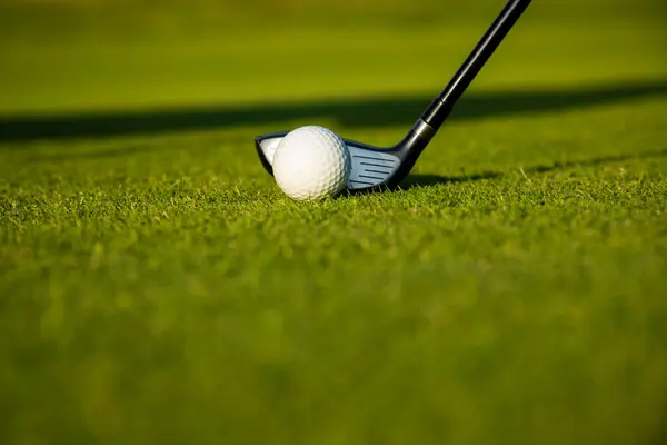 Golf Labda Golf Klub Fűben Jogdíjmentes Stock Fotók