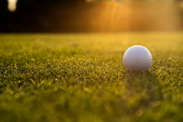 緑の芝生の上のゴルフ ボール ストック画像