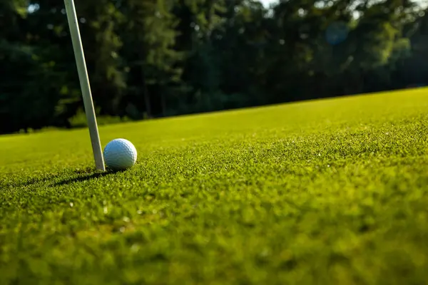 Balle Golf Sur Terrain Golf Photo De Stock