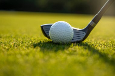 Golf topunu yeşil çimlerin üzerine koy