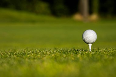 Golf sopasında golf topu.