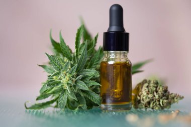 Esrar yağı ve cbd kenevir yağı