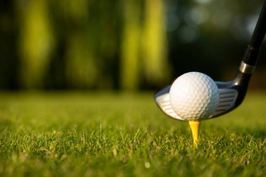 Akşam golf sahasında bir golf topunun yakın görüntüsü..