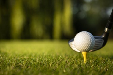 Golf sopası ve golf topu çimlerde, spor ve golf