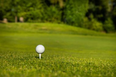 Toplu golf sahası ve çimen