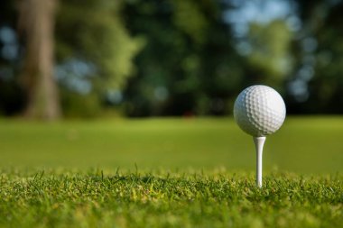 Yeşil çimlerin üzerinde golf topu