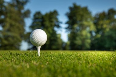 Yeşil çimlerin üzerinde golf topu