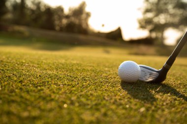 Yeşil çimlerin üzerinde golf topu