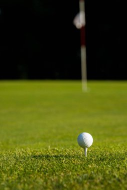 Yeşil çimlerin üzerinde golf topu