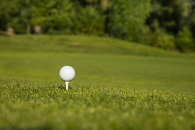 Yeşil çimenlerin üzerinde Golf club