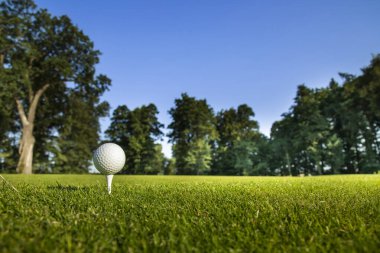 Yeşil çimlerin üzerinde golf topu