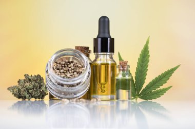 Kenevir yağı, marihuana yaprağı, cbd yağı, kenevir tohumu